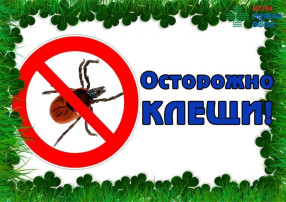 Памятка "Осторожно клещи!" Памятка "Осторожно клещи!".